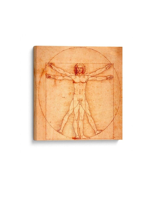 Imagen de producto Cuadro Canvas Lab impreso en lienzo Hombre de Vitruvio Leonardo Da Vinci
