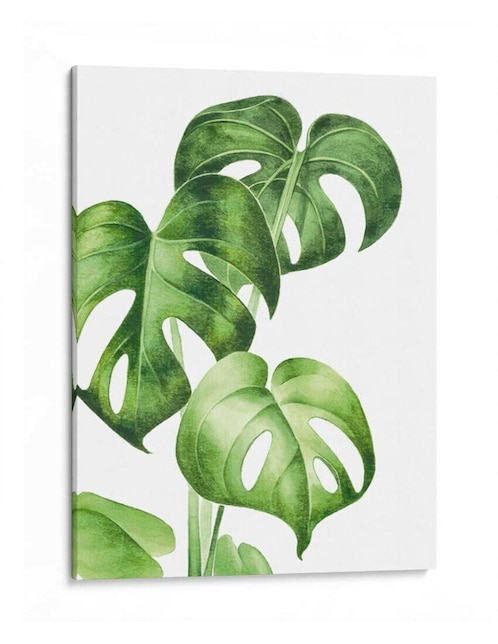 Litografía Canvas Lab Monstera Deliciosa técnica Impresión