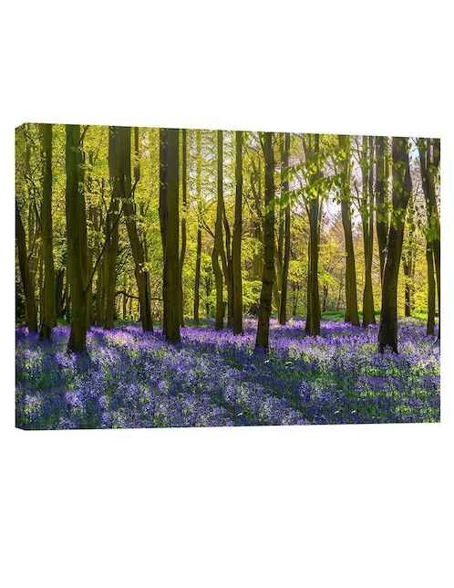 Cuadro decorativo Arboles y Lavanda 1