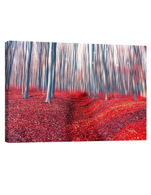 Cuadro decorativo Bosque Encantado 1