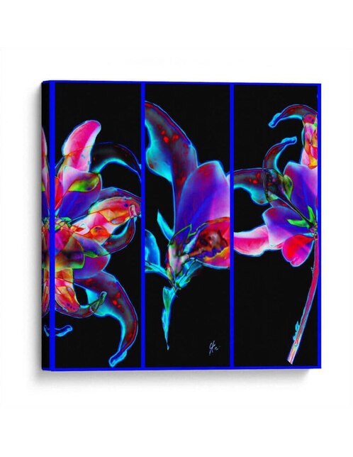 Cuadro Decorativo Canvas Lab Botánica - Trilogía Floreada, YH