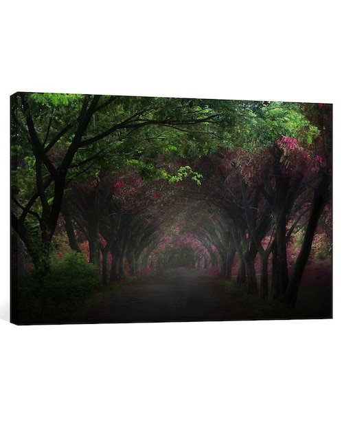 Cuadro Bosque Camino Obscuro 1