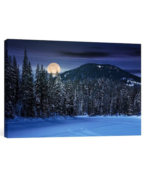 Fotografía Pixelarte Bosque Noche Nieve