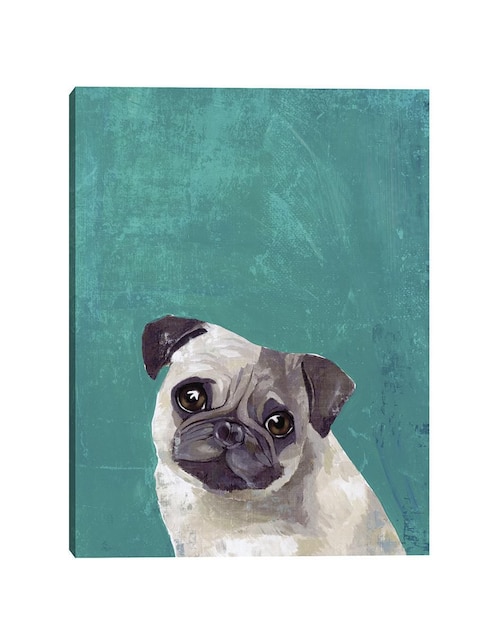 Pintura Cachorro Pug técnica mixta Cuadros Jr