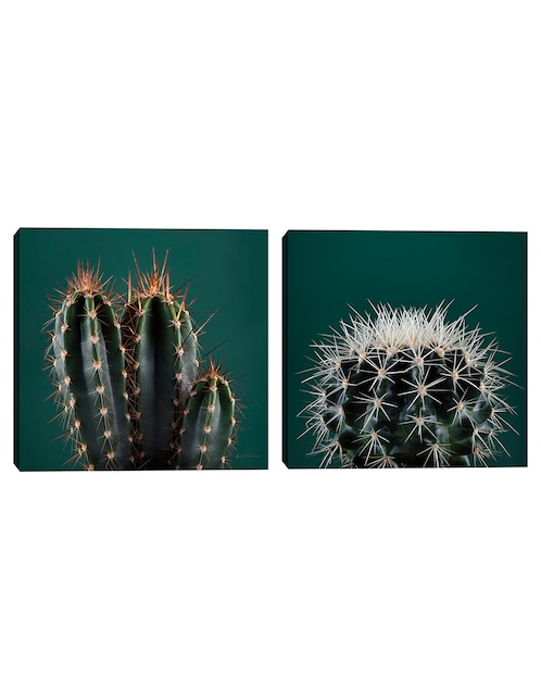 Pintura Cactus III técnica mixta 1