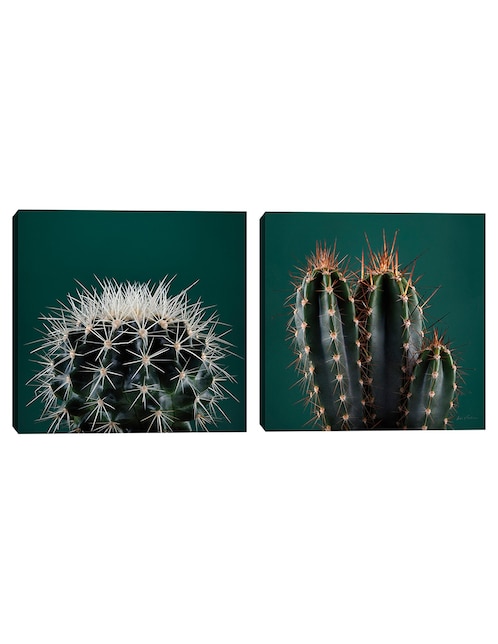 Pintura Cactus III técnica mixta 1