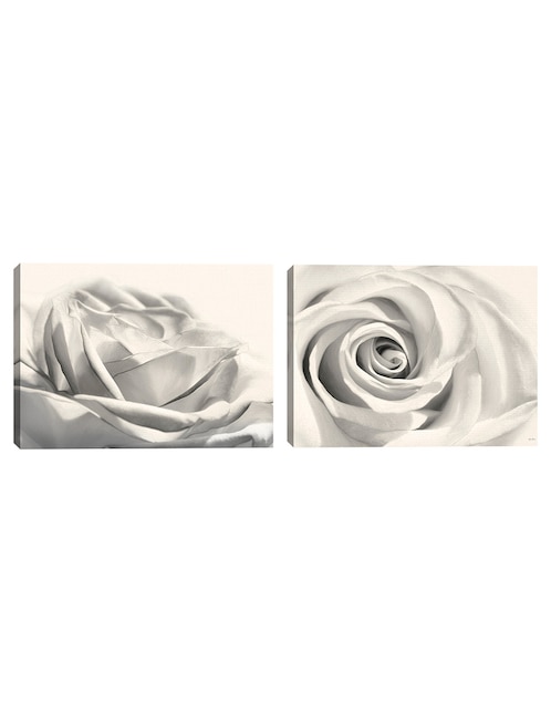 Pintura Rosa III técnica mixta 1