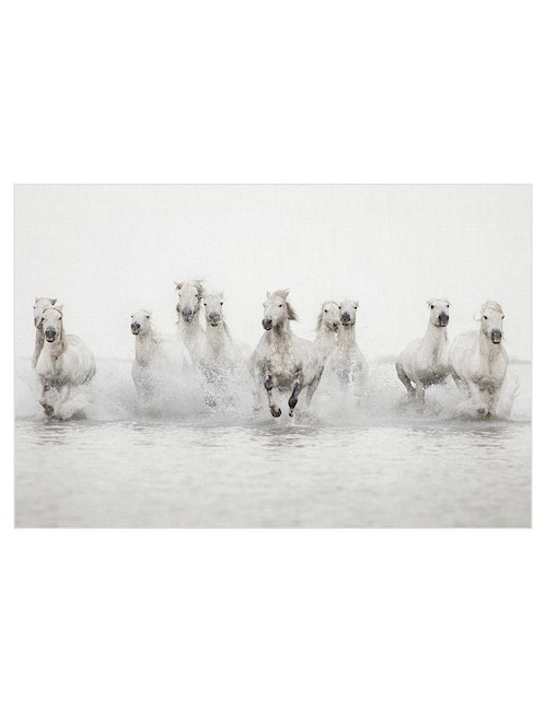 Pintura Caballos blancos técnica mixta Animales 1