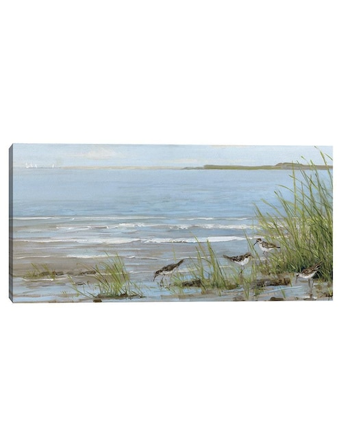 Pintura Playa Sandpiper técnica mixta Costa 1