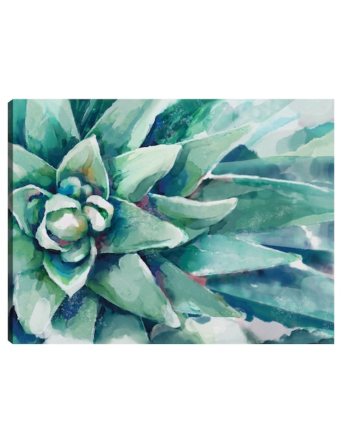 Cuadro decorativo Flor Suculenta Acuarela técnica mixta Floración 1