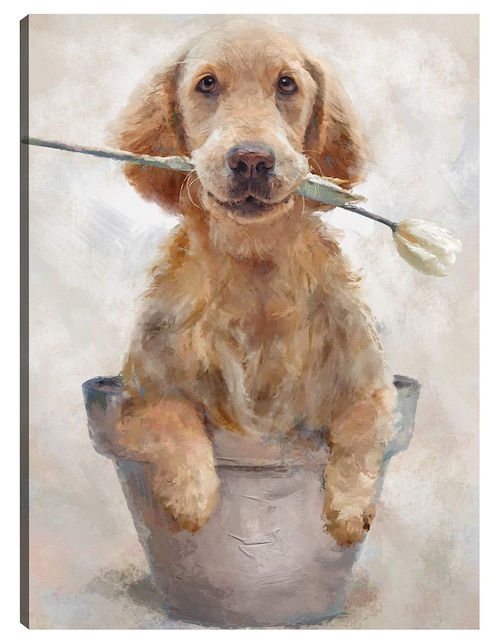 Cuadro decorativo técnica mixta Cuadros Jr Animales Domésticos