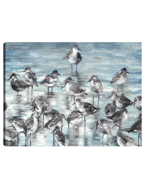 Cuadro decorativo técnica mixta Cuadros Jr Aves Silvestres