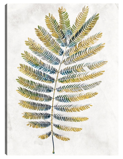 Cuadro decorativo Helechos opulentos I técnica mixta Floración 1