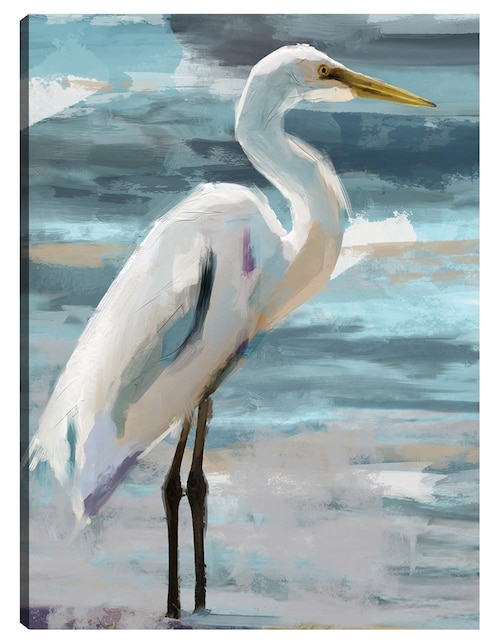 Cuadro decorativo Garza de domingo técnica mixta Aves Silvestres 1