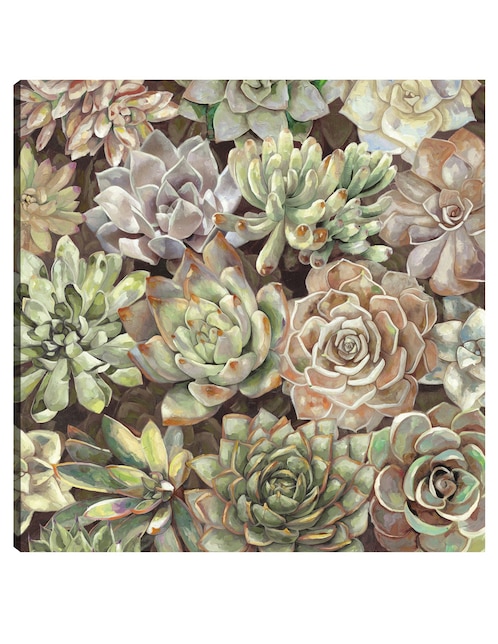 Cuadro decorativo Jardín del desierto técnica mixta Cuadros Jr Floración