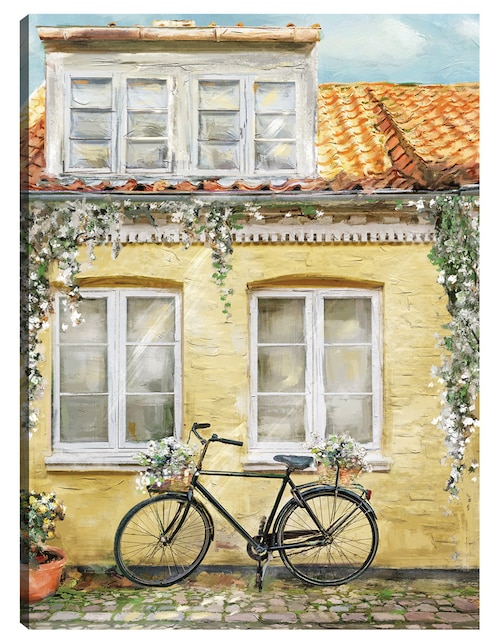 Cuadro decorativo La bicicleta técnica mixta Lugares 1