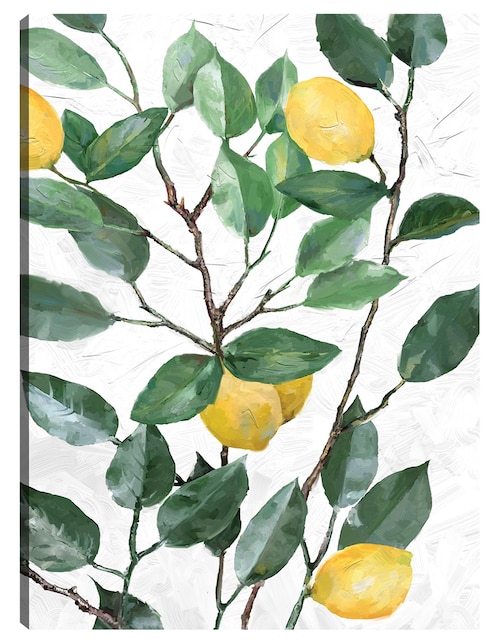 Cuadro decorativo Limonero técnica mixta Frutas 1