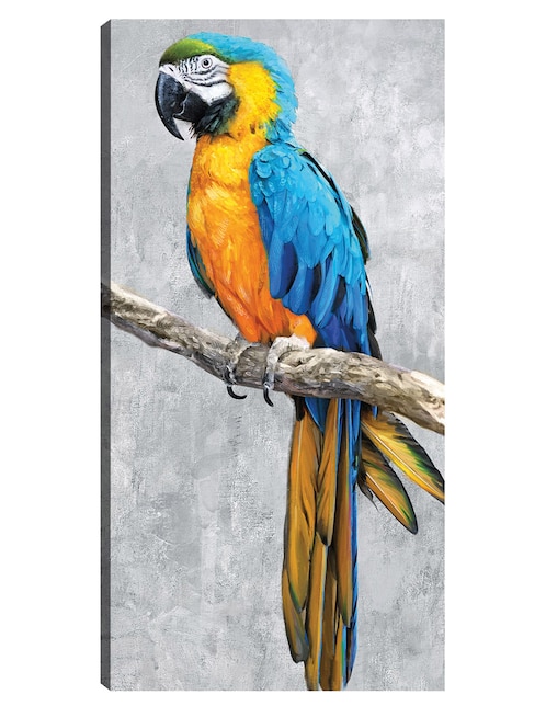 Cuadro decorativo Loros Tropicales II técnica mixta Aves Silvestres 1
