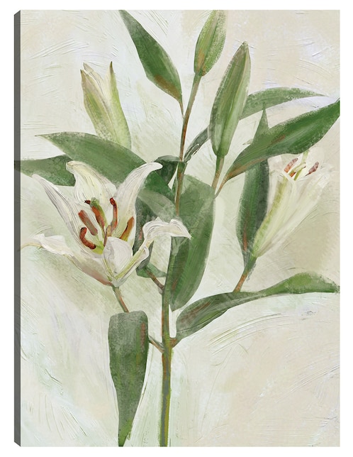 Cuadro decorativo Lys Blancs I técnica mixta Cuadros Jr Floración