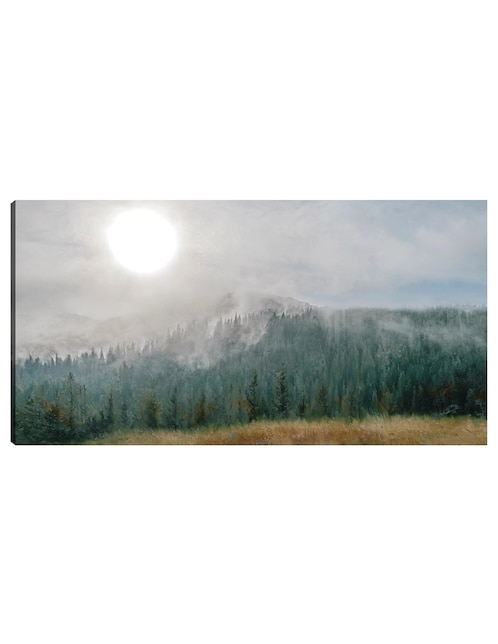 Cuadro decorativo Montaña resplandor lunar técnica mixta Bosques 1