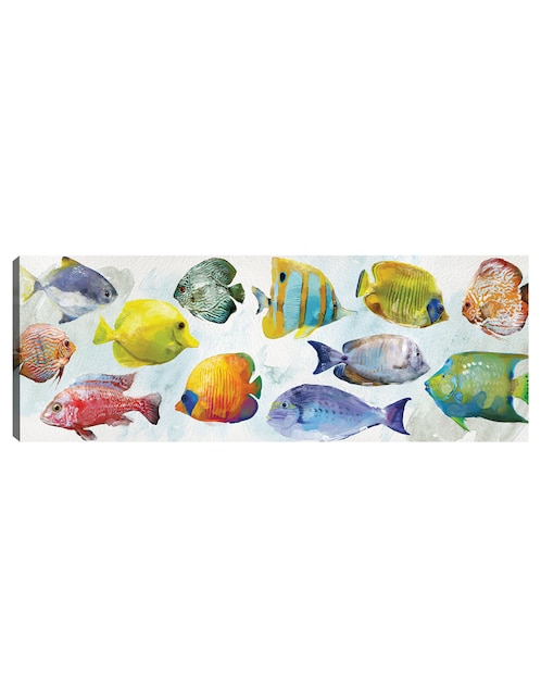 Cuadro decorativo Nado tropical técnica mixta Cuadros Jr Animales Marinos