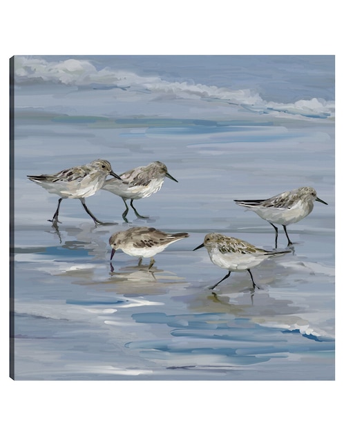 Cuadro decorativo Playa de la lavandera II técnica mixta Aves Silvestres 1