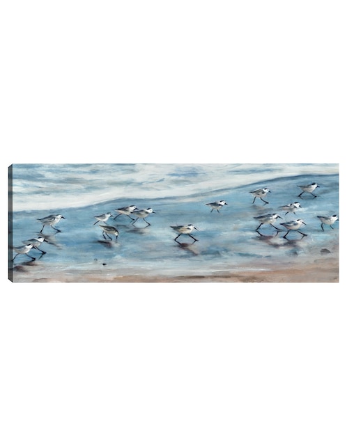 Cuadro decorativo Playeritos I técnica mixta Aves Silvestres 1