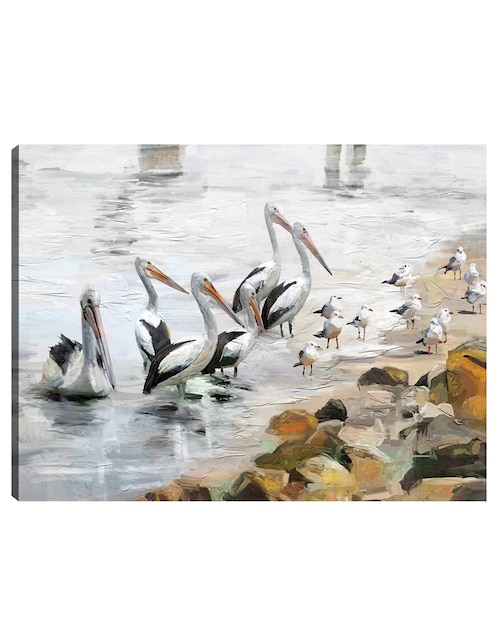 Cuadro decorativo Playa pelícano técnica mixta Aves Silvestres 1