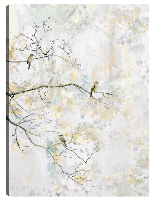 Cuadro decorativo Posado III técnica mixta Cuadros Jr Aves Silvestres