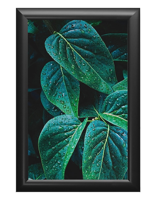 Cuadro decorativo 1