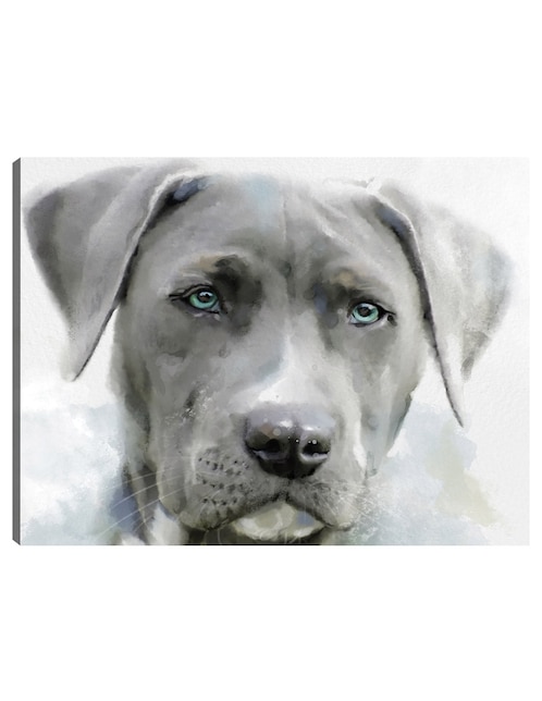 Cuadro decorativo Sabuesos de galería II técnica mixta Animales Domésticos 1