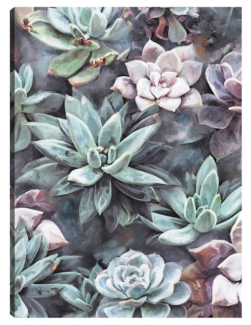 Cuadro decorativo Suculentas en gris técnica mixta Cuadros Jr Floración
