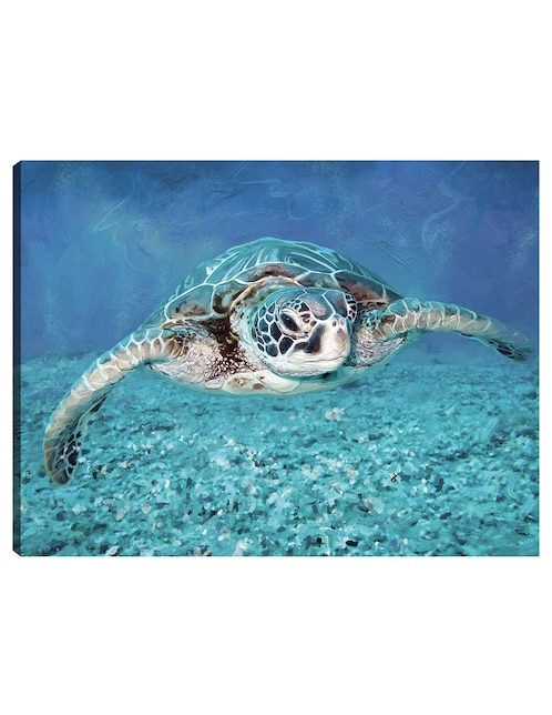 Cuadro decorativo Tortuga marina técnica mixta Animales Marinos 1