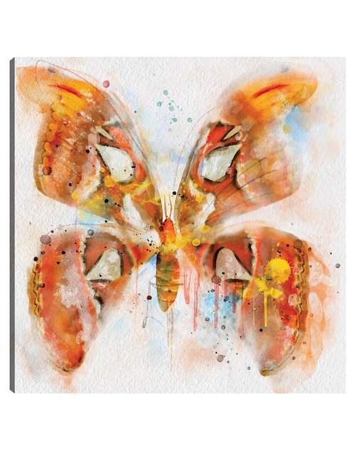 Cuadro decorativo Vuelos de Fancy I técnica mixta Vida Silvestre 1