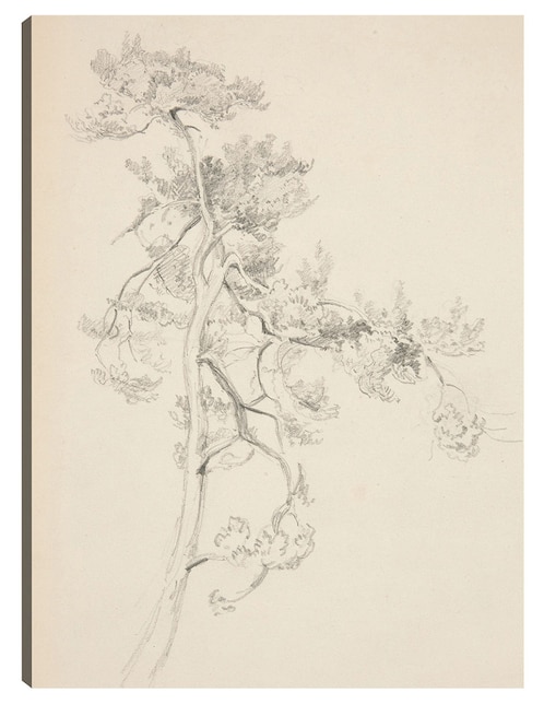 Cuadro decorativo Árbol y follaje técnica mixta Cuadros Jr Bocetos