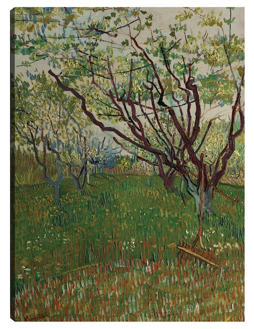 Cuadro decorativo El huerto floreciente (1888) técnica mixta Campos 1