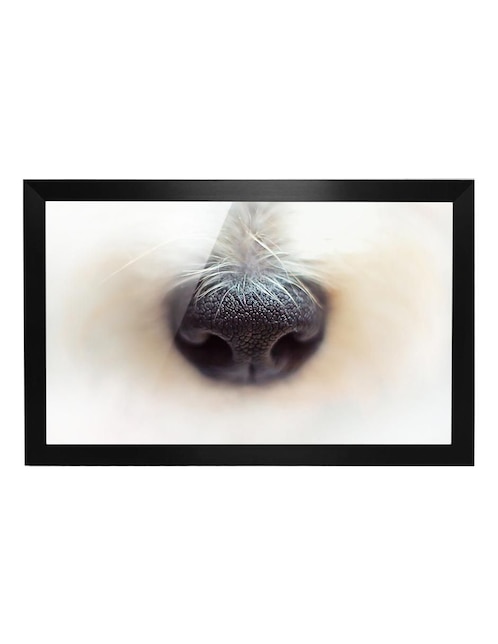 Cuadro decorativo dog 1