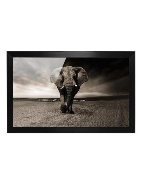Cuadro decorativo elefante 1