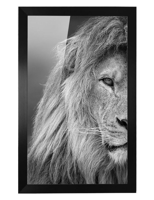 Cuadro decorativo león 1