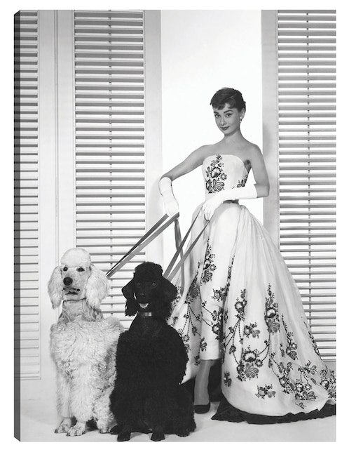 Cuadro decorativo Audrey Hepburn en Sabrina (1954) técnica mixta Cuadros Jr Retratos
