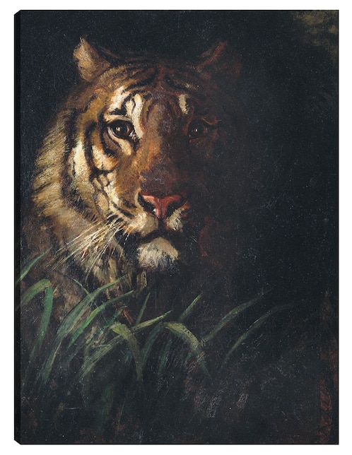 Cuadro decorativo Cabeza de tigre (hacia 1874) técnica mixta Vida Silvestre 1