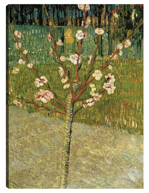 Cuadro decorativo Almendro en flor técnica mixta Floración 1
