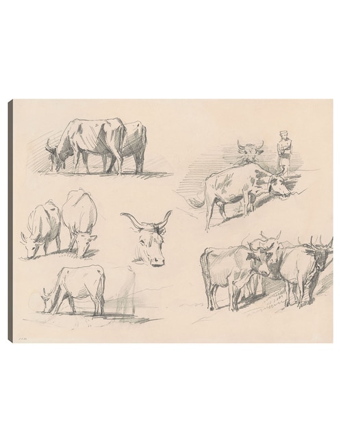 Cuadro decorativo Estudios de ganado (c. 1872) técnica mixta Bocetos 1