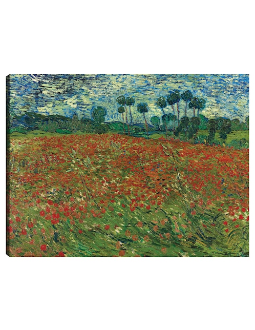Cuadro decorativo Campo de amapolas técnica mixta Campos 1