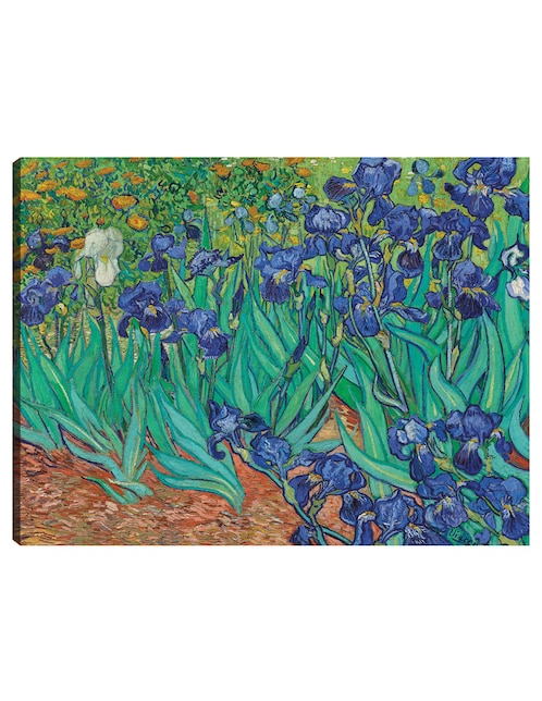 Cuadro decorativo Iris (1889) técnica mixta Primavera 1