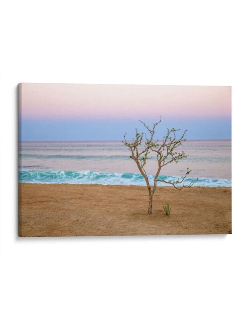 Cuadro decorativo Canvas Lab atardecer en cabo por emilio santamaria