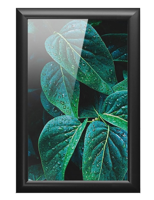 Cuadro decorativo hojas 1