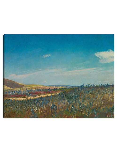Cuadro decorativo Vista cerca de Karrebaeksminde en el norte de Zelanda (1901) técnica mixta Campos 1