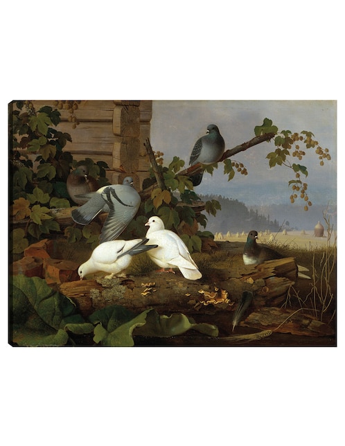 Cuadro decorativo Palomas técnica mixta Aves Silvestres 1