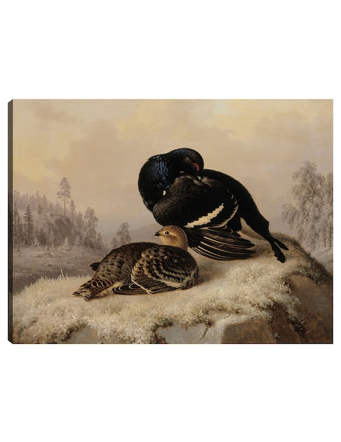 Cuadro decorativo Urogallo negro, gallo y gallina (1869) técnica mixta Aves Silvestres 1